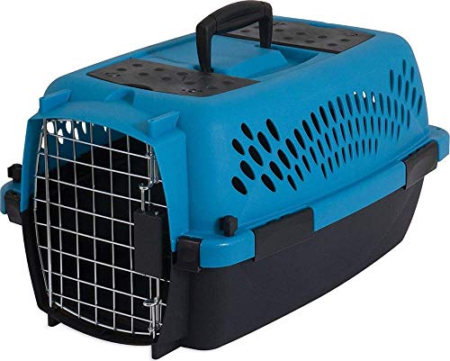 Aspen Pet Pet Porter Kunststoff-Transportbox für Hunde von Petmate