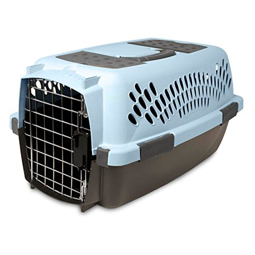 Aspen Pet Pet Porter Kunststoff-Transportbox für Hunde von Petmate