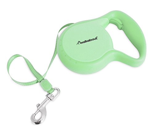 Petmate Walkabout 3 Glow Tape Collar, Green, Medium von Petmate
