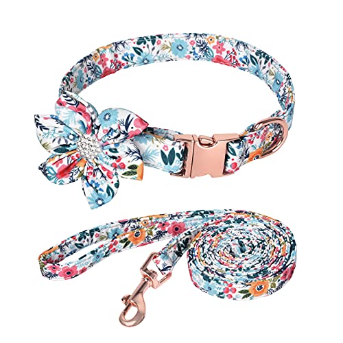 Petmolico Hundehalsband für Mädchen, niedliches Blumenmuster, mit abnehmbarer Schleife, Blume und passender Leine für Hündinnen, Größe M von Petmolico