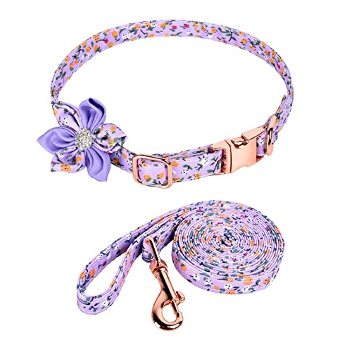Petmolico Hundehalsband für Mädchen, niedliches Blumenmuster, mit abnehmbarer Schleife, Blume und passender Leine für Hündinnen, Violett mit Blumenmuster und Größe M von Petmolico
