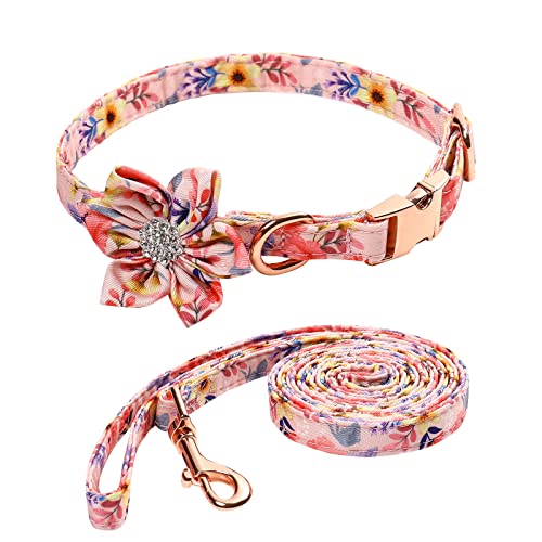 Petmolico Hundehalsband für Mädchen, niedliches Blumenmuster, mit abnehmbarer Schleife, Blume und passender Leine für Hündinnen, rosa Blumenmuster, klein von Petmolico