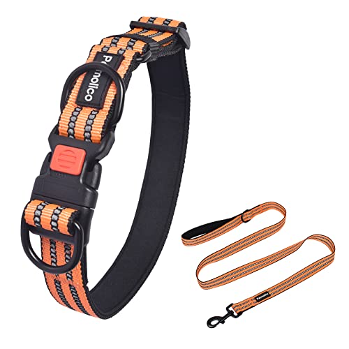 Petmolico Hundehalsband mit doppeltem D-Ring und passender Leine, reflektierendes gepolstertes Nylon-Hundehalsband mit Sicherheitsschnalle für kleine Hunde, Orange, S Petmolico Hundehalsband mit doppeltem D-Ring und passender Leine, reflektierendes gepolstertes Nylon-Hundehalsband mit Sicherheitsschnalle für kleine Hunde, Orange, S von Petmolico