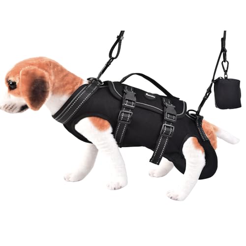Petmolico Hundetragetasche, Hundegeschirr, verstellbare Hundeleine mit Leckerli-Tasche für kleine Welpen, Schwarz, Samll Petmolico Hundetragetasche, Hundegeschirr, verstellbare Hundeleine mit Leckerli-Tasche für kleine Welpen, Schwarz, Samll von Petmolico