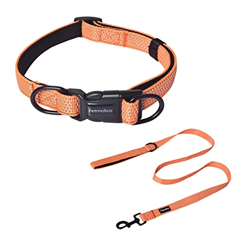 Petmolico Reflektierendes Hundehalsband und Leine, Neopren, gepolstert, für den täglichen Spaziergang, mit doppeltem D-Ring für Hundeleine und ID-Tags, Orange, Größe S Petmolico Reflektierendes Hundehalsband und Leine, Neopren, gepolstert, für den täglichen Spaziergang, mit doppeltem D-Ring für Hundeleine und ID-Tags, Orange, Größe S von Petmolico