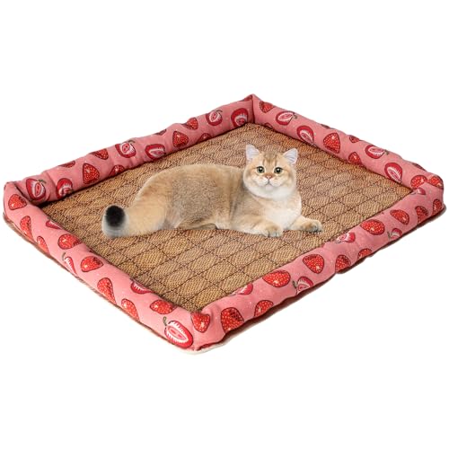 Petoasis Haustier-Kühlmatte für Hunde und Katzen, 60 x 45 cm, sicheres Material, tragbar und atmungsaktiv, Kühlkissen für drinnen und draußen, als Zwinger-Decke, Sitzbezug, Eisbett oder Kistenkissen von Petoasis