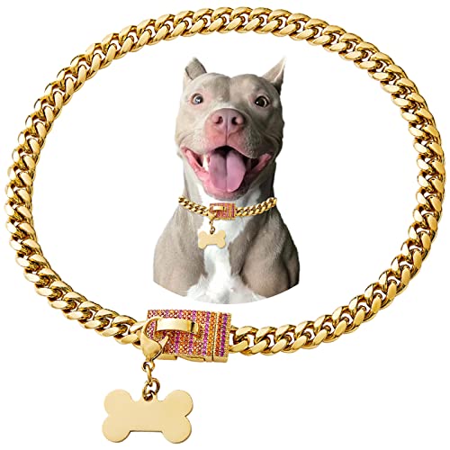 Goldene Edelstahl-Halskette mit kubanischem Glieder, strapazierfähig, personalisierbar, Hundehalsband für kleine, mittelgroße Hunde, amerikanische Bulldogge, französische Bulldogge, mit Zirkonia, Goldene Edelstahl-Halskette mit kubanischem Glieder, strapazierfähig, personalisierbar, Hundehalsband für kleine, mittelgroße Hunde, amerikanische Bulldogge, französische Bulldogge, mit Zirkonia, von Petoo