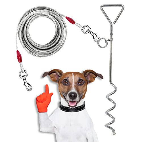 Hundeleine mit 40 cm (16 Zoll) [40 cm], robuste Stahlspirale, Erdspieß, Hundeketten für draußen, Hundegeschirr, Outdoor, Camping, Leine für Hunde (Spirale, 3 m) von Petopedia