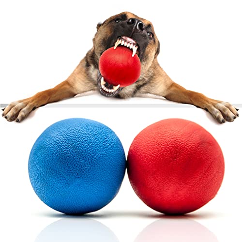 Hundespielzeug, 7.6 cm, starker Gummiball, hohe Sprungkraft, robust, unzerstörbar, praktisch interaktives Hundespielzeug gegen Langeweile, Rot + Blau, 2 Bälle) von Petopedia