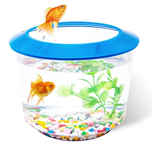 Goldfish Tank Kleine Aquarien und Aquarien, Fischschale für Goldfische, komplettes Set, Kinder-Fischtank-Starter-Sets mit Kies, Zierpflanze (blau) von Petopedia