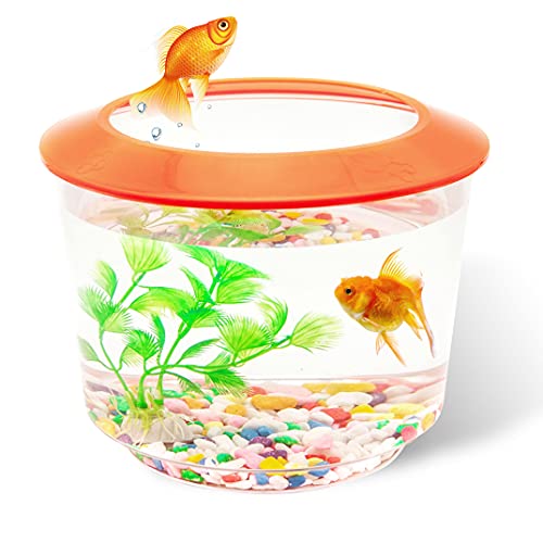 Pet Living Goldfischbecken und Aquarien, komplettes Set für Kinder, Starter-Set, Fischschale für Goldfische mit Kies, Zierpflanze (orange) von Petopedia