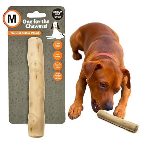Petopedia 1 x Kauspielzeug für Hunde mit hoher Dichte, natürlich, robust, Holzknoten, Ast, Kaustab, Hundespielzeug, unzerstörbares Hundespielzeug gegen Langeweile, Hundespielzeug (mittelgroß, 1 Stück) Petopedia 1 x Kauspielzeug für Hunde mit hoher Dichte, natürlich, robust, Holzknoten, Ast, Kaustab, Hundespielzeug, unzerstörbares Hundespielzeug gegen Langeweile, Hundespielzeug (mittelgroß, 1 Stück) von Petopedia