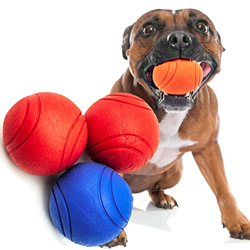 Petopedia 3x2.5 starke solide Gummibälle mit hoher Beanspruchung, praktisch robustes Hundespielzeug, starke Naturkautschukbälle für Hunde (6.3 cm, blau + 2 rot (3 Bälle)) von Petopedia