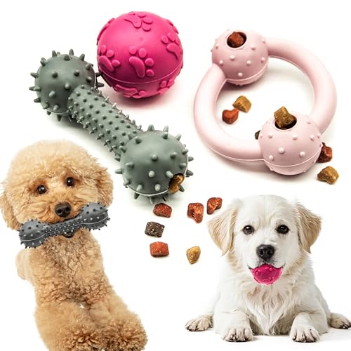 Welpenspielzeug, quietschende Hundebälle, Gummi, Leckerli-Dosierung, Kauspielzeug für Hunde, Kauspielzeug für Hunde, interaktives Hundespielzeug gegen Langeweile, 3 Stück Welpenspielzeug, quietschende Hundebälle, Gummi, Leckerli-Dosierung, Kauspielzeug für Hunde, Kauspielzeug für Hunde, interaktives Hundespielzeug gegen Langeweile, 3 Stück von Petopedia