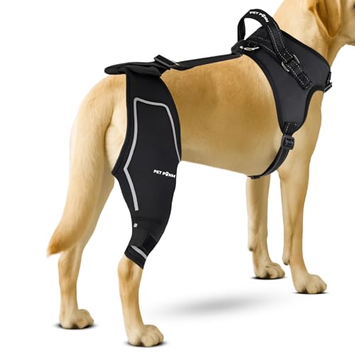 Petpanm Verstellbare Hunde-Kniebandage, rechtes Hinterbein mit integriertem Geschirr, Premium-Unterstützung bei gerissenem ACL, Verstauchungen und Zerrungen, verbessert die Mobilität, bequemes Neopren Petpanm Verstellbare Hunde-Kniebandage, rechtes Hinterbein mit integriertem Geschirr, Premium-Unterstützung bei gerissenem ACL, Verstauchungen und Zerrungen, verbessert die Mobilität, bequemes Neopren von Petpanm
