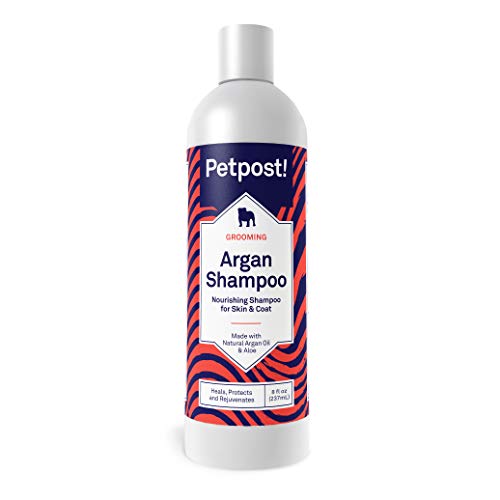 Petpost | Argan Shampoo für Hunde - Heilt, schützt und regeneriert trockene Hundehaut & Fell natürlich - Arganöl und Aloe Formel (237 mL) von Petpost
