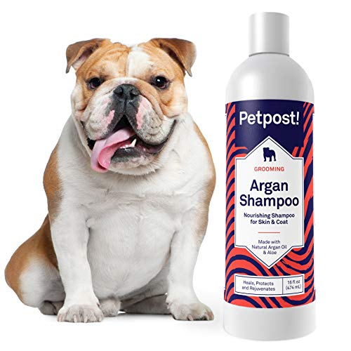 Petpost | Argan Shampoo für Hunde - Heilt, schützt und regeneriert trockene Hundehaut & Fell natürlich - Arganöl und Aloe Formel (474 mL) von Petpost