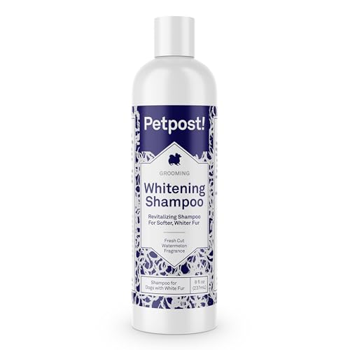 Petpost | Aufhellendes Schampoo für Hunde - Die Beste Behandlung für Hunde mit weißem Fell - Hundeshampoo mit Beruhigendem Wassermelonen-Geruch - 237 ml. Petpost | Aufhellendes Schampoo für Hunde - Die Beste Behandlung für Hunde mit weißem Fell - Hundeshampoo mit Beruhigendem Wassermelonen-Geruch - 237 ml. von Petpost