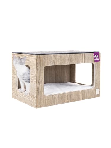 Petrebels Kletterwand, Katzenhöhle Box 60 cm, Kratzbaum Wand, Premium Qualität Wandkratzbaum, Katzenbett Wandmontage, Holz Farbe Eiche-Altgrau Look Petrebels Kletterwand, Katzenhöhle Box 60 cm, Kratzbaum Wand, Premium Qualität Wandkratzbaum, Katzenbett Wandmontage, Holz Farbe Eiche-Altgrau Look von Petrebels