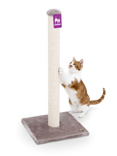 Petrebels Premium Qualität Kratzbaum Maine 90 cm Hoch, mit Extra Stabiler Bodenplatte und Natur-Sisal Stamm, 40 x 40 x 90 cm, Farbe Cappuccino Petrebels Premium Qualität Kratzbaum Maine 90 cm Hoch, mit Extra Stabiler Bodenplatte und Natur-Sisal Stamm, 40 x 40 x 90 cm, Farbe Cappuccino von Petrebels