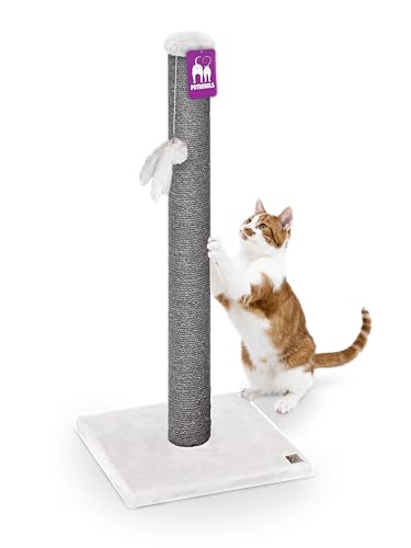 Petrebels Premium Qualität Kratzbaum Maine 90 cm Hoch, mit Extra Stabiler Bodenplatte und Natur-Sisal Stamm, 40 x 40 x 90 cm, Farbe Off-White Petrebels Premium Qualität Kratzbaum Maine 90 cm Hoch, mit Extra Stabiler Bodenplatte und Natur-Sisal Stamm, 40 x 40 x 90 cm, Farbe Off-White von Petrebels
