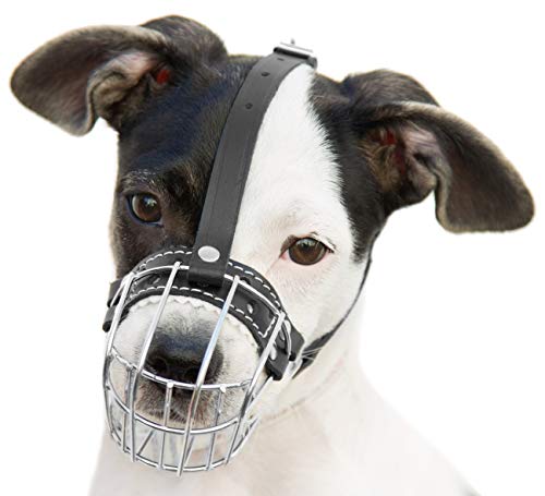 0,5 Hunde-Maulkörbe aus verchromtem Metall, verstellbare Lederbänder von PetriStor