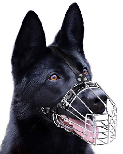 Hundemaulkörbe aus verchromtem Metall, Drahtkorb, verstellbare Lederriemen, Deutscher Schäferhund, verstärkt (Nr. 1), Schnauzenumfang: 28,9 cm, Länge: 10,9–11,9 cm Hundemaulkörbe aus verchromtem Metall, Drahtkorb, verstellbare Lederriemen, Deutscher Schäferhund, verstärkt (Nr. 1), Schnauzenumfang: 28,9 cm, Länge: 10,9–11,9 cm von PetriStor