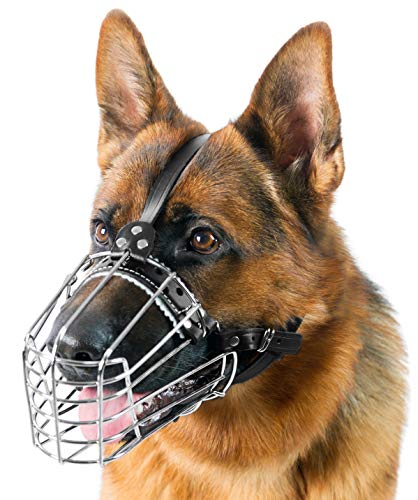 Hundemaulkorb aus verchromtem Metall, mit verstellbaren Lederriemen, deutscher Schäferhund, verstärkt (Nr. 3), Schnauzenumfang ist 34,8–36,8 cm, Länge 12,4–13,5 cm. von PetriStor