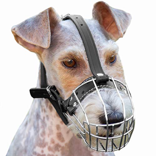 Hundemaulkörbe aus verchromtem Metall, verstellbare Lederriemen (Nr. 3). Der Umfang beträgt 19,8–23,8 cm, die Länge beträgt 8,3–9 cm von PetriStor