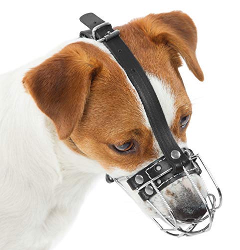 Hundemaulkörbe aus verchromtem Metall, verstellbare Lederriemen (Nr. 0). Der Umfang beträgt 15–15,7 cm, die Länge beträgt 5,3–5,8 cm Hundemaulkörbe aus verchromtem Metall, verstellbare Lederriemen (Nr. 0). Der Umfang beträgt 15–15,7 cm, die Länge beträgt 5,3–5,8 cm von PetriStor