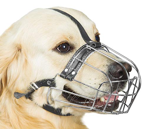 Hundemaulkorb aus verchromtem Metall, mit verstellbaren Lederriemen, Umfang 33–35,1 cm, Länge 9,9–10,9 cm, Maulkorb für Labrador Retriever Hundemaulkorb aus verchromtem Metall, mit verstellbaren Lederriemen, Umfang 33–35,1 cm, Länge 9,9–10,9 cm, Maulkorb für Labrador Retriever von PetriStor