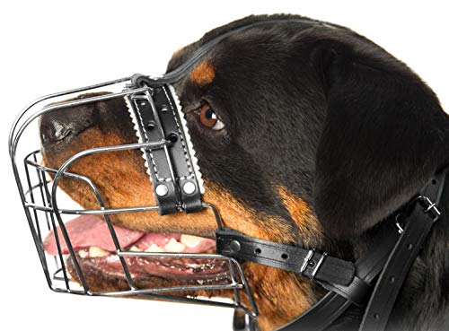 Maulkörbe für Rottweiler-Hunde aus Metall (Nr. 1) – Drahtkorb, verstellbare Lederriemen – Maulkorbumfang: 25–35,8 cm, Länge: 6,8–8,9 cm von PetriStor