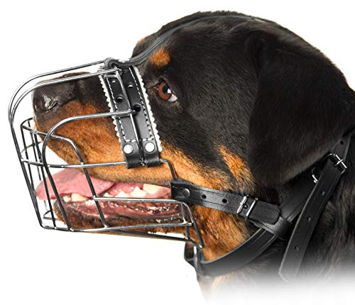 Metall-Maulkörbe für Hunde, Rottweiler, Nr. 3 Drahtkorb, verstellbare Lederriemen, Leder, Verstellbarer Umfang von 26,9–38,1 cm, Länge 6,9 x 9,4 cm Metall-Maulkörbe für Hunde, Rottweiler, Nr. 3 Drahtkorb, verstellbare Lederriemen, Leder, Verstellbarer Umfang von 26,9–38,1 cm, Länge 6,9 x 9,4 cm von PetriStor