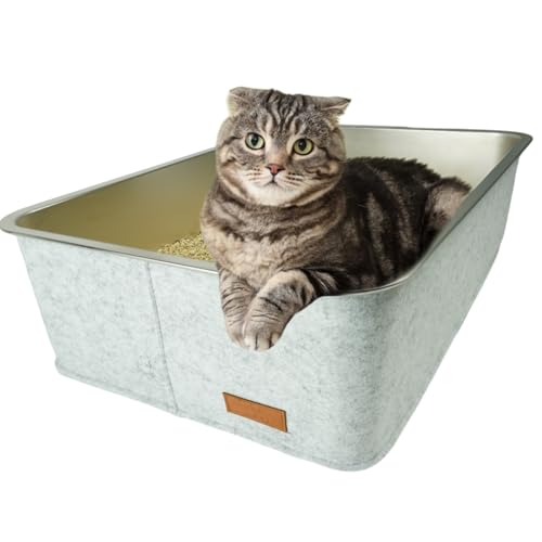 Petriumph® Katzenklo XXL aus Edelstahl | Katzentoilette Groß für Große Katzen und Kleine Katzen | Stilvoller Cat Litter Box | Katzenklo hoher Rand | Katzenklo XXL Modern von Petriumph