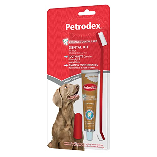 Petrodex Sentry Natural Peanut Dental Kit für Hunde, 70 g von Petrodex