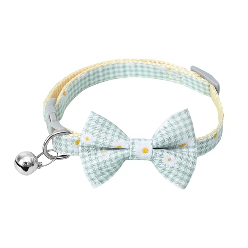 Petrypet Katzenhalsband, abnehmbare Fliege mit Glöckchen, Sicherheitsschnalle für Mädchen und Jungen, verstellbar, kariert, für Katzen, Kätzchen, Haustierhalsband, Zubehör, Grün Petrypet Katzenhalsband, abnehmbare Fliege mit Glöckchen, Sicherheitsschnalle für Mädchen und Jungen, verstellbar, kariert, für Katzen, Kätzchen, Haustierhalsband, Zubehör, Grün von Petrypet