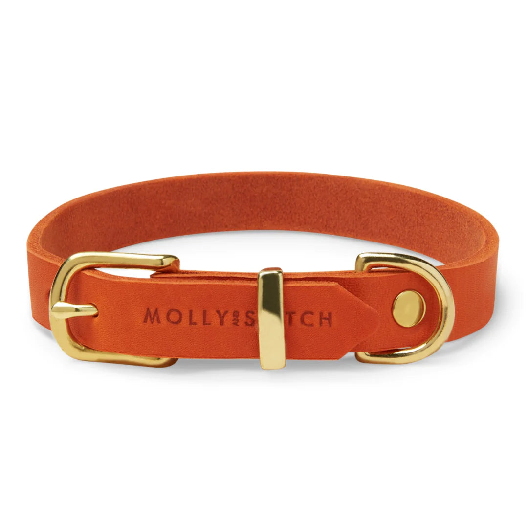 Molly & Stitch Butter Hundehalsband - Mango / goldener Karabiner / XL von Pets Deli