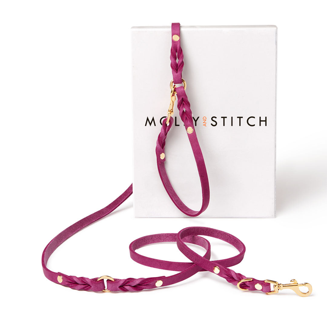 Molly & Stitch Butter Hundeleine 3X Verstellbar - Flamingo / goldener Karabiner / M von Pets Deli
