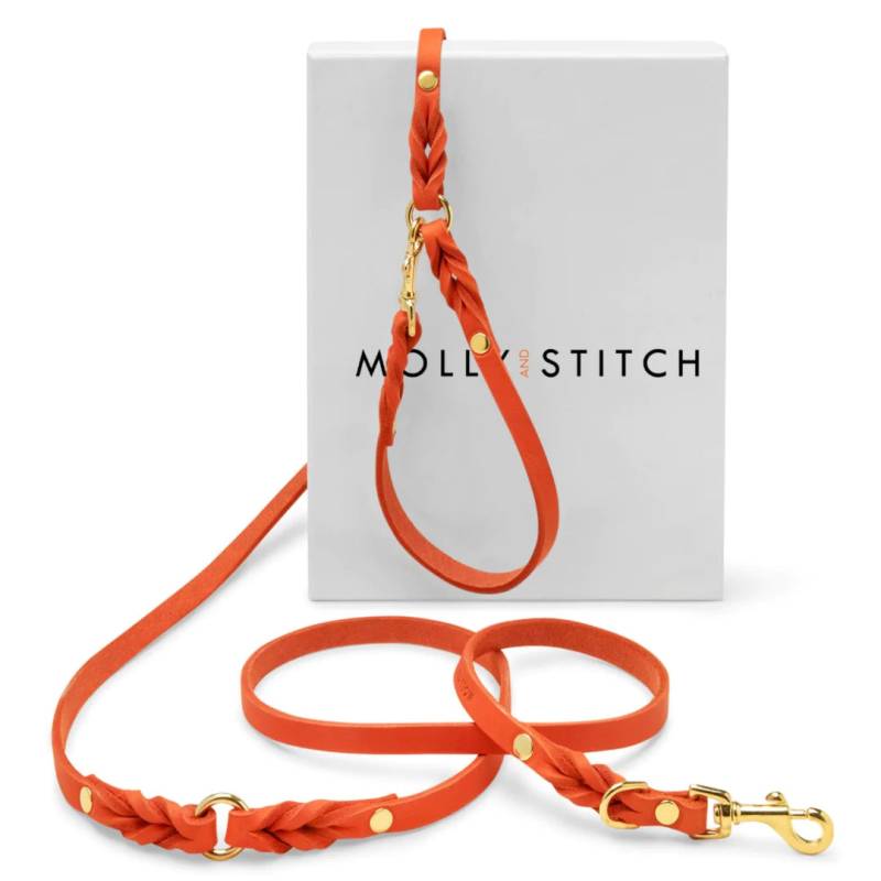 Molly & Stitch Butter Hundeleine 3X Verstellbar - Mango / goldener Karabiner / S von Pets Deli