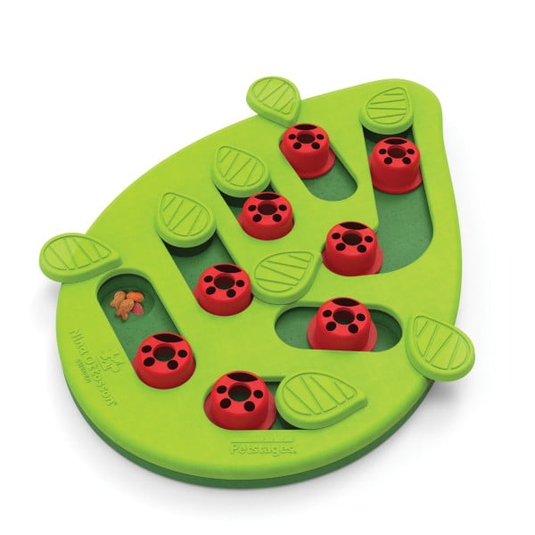 Nina Ottosson - Buggin’ Out Puzzle & Play - ‎Level 2 (Mittelstufe) von Pets Deli