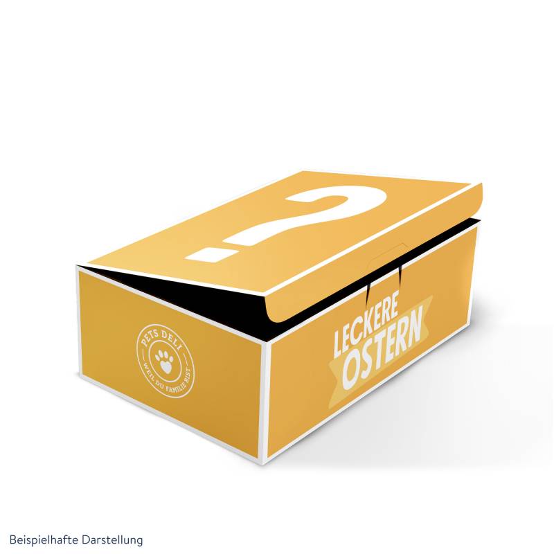 Oster Surprise Box für Hunde - 615g von Pets Deli