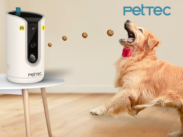 PetTec Pet Cam Hello - Weiß von Pets Deli