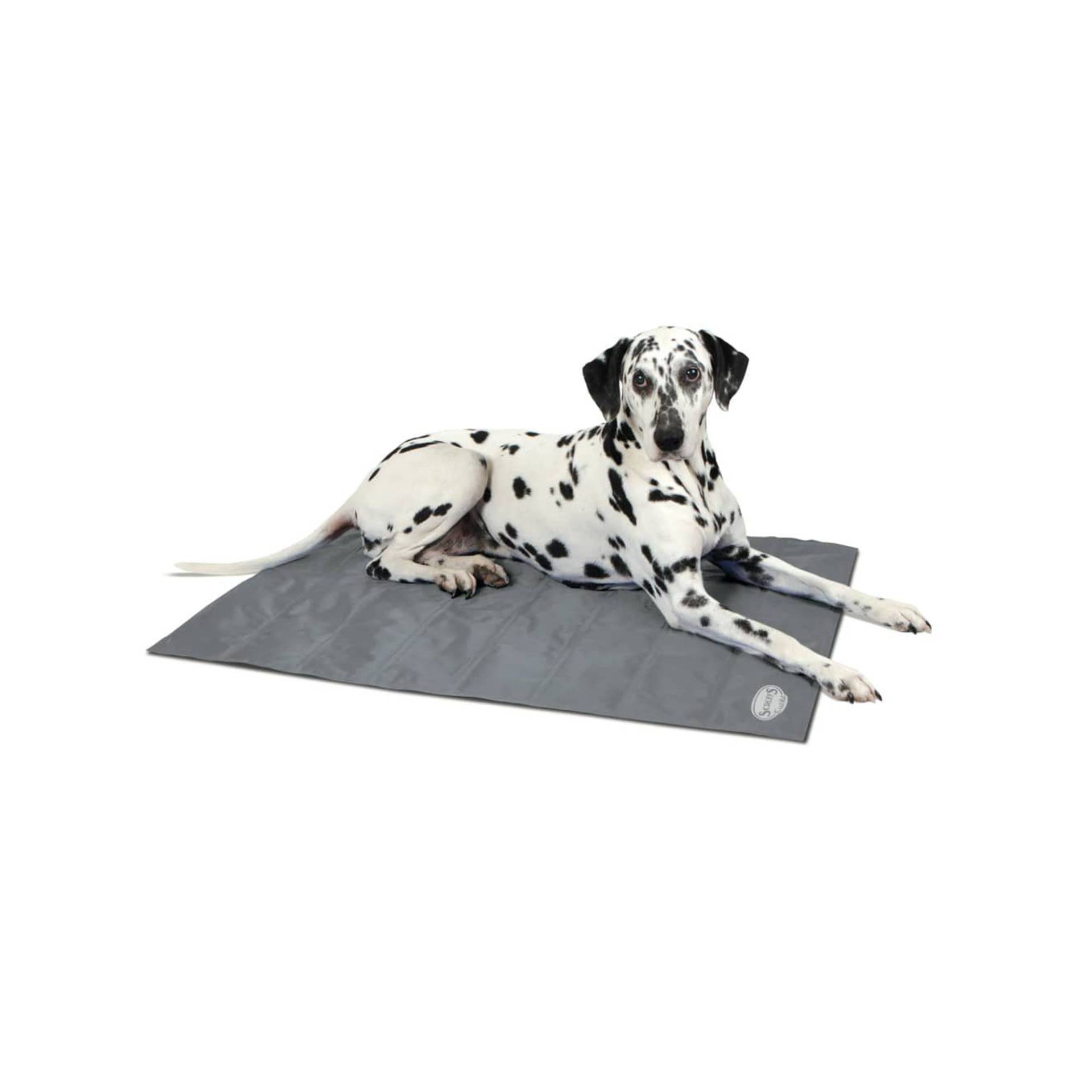 Scruffs Cooling Mat - Grau / L Scruffs Cooling Mat - Grau / L von Pets Deli