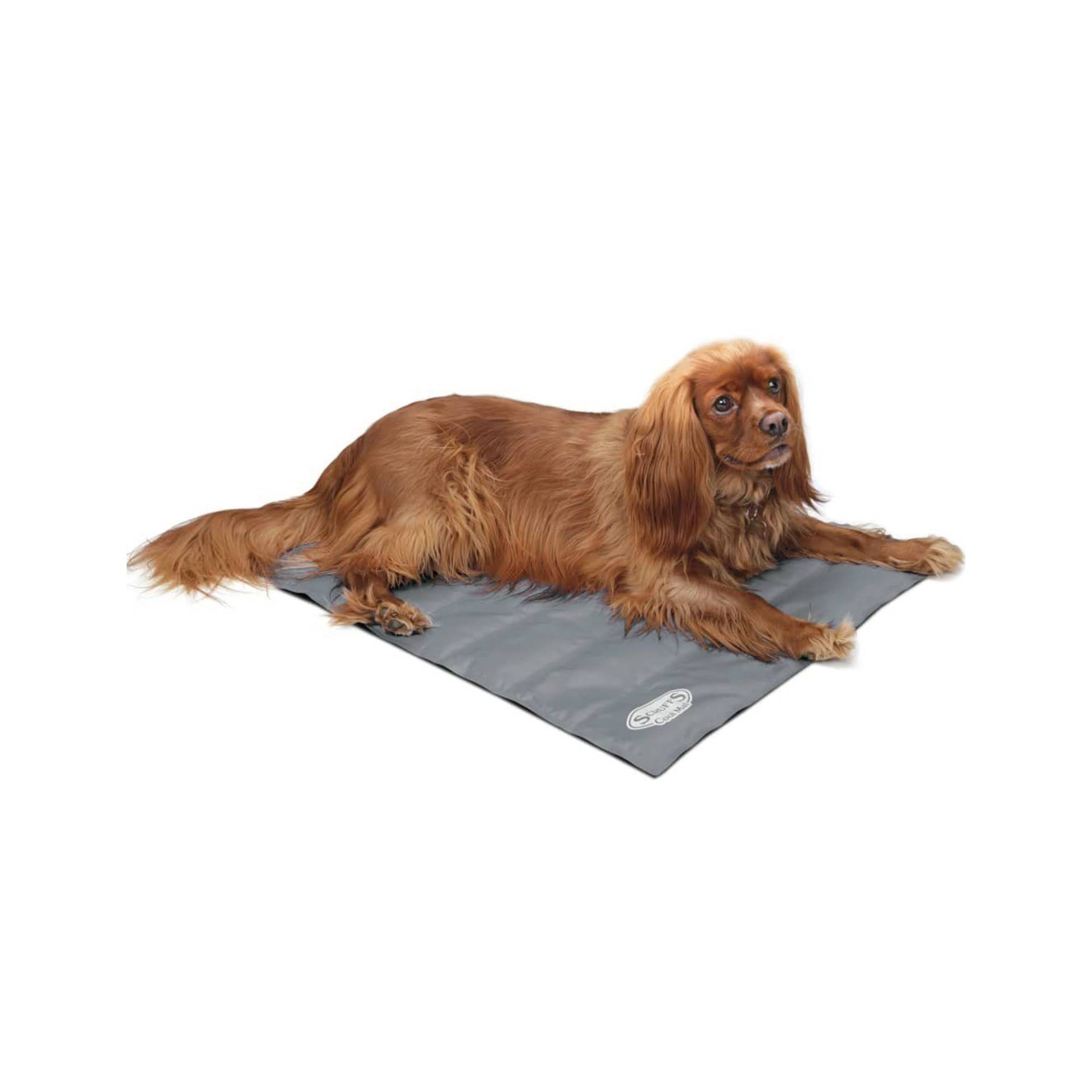 Scruffs Cooling Mat - Grau / M Scruffs Cooling Mat - Grau / M von Pets Deli