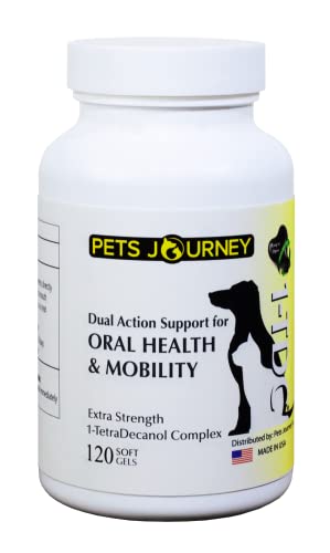 1-TDC Dual Action Unterstützung für Mundgesundheit & Mobilität (120 ct) von Pets Journey