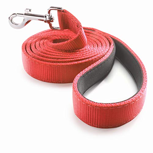 PetsLovers Hundeleinen Gepolstert - extrem haltbares Nylonband, gepolsterte Schlaufe - rot, 1,8 m lang, 2,5 cm breit PetsLovers Hundeleinen Gepolstert - extrem haltbares Nylonband, gepolsterte Schlaufe - rot, 1,8 m lang, 2,5 cm breit von Dutchy Brand