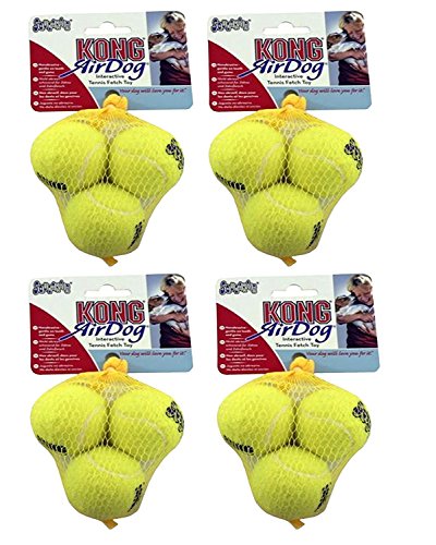 Kong AirDog Tennisbälle, Größe XS, 4er-Packung (insgesamt 12 Bälle) von KONG