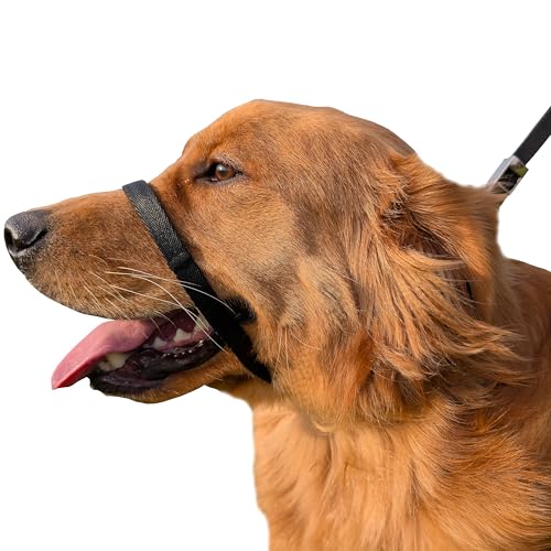 PetsProMax Hundehalfter gegen Ziehen, sofortiges Ziehen, sanftes Trainingshalsband für Hunde, bequeme, sichere und effektive Lösung zum Gehen/Training (Schwarz, L) von Pets ProMax