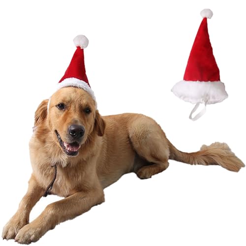 Pets on Safari Pet Santa Hat for Dogs, Adjustable Christmas Hats for Cats, Puppy Christmas Costume Decoration Accessories, Pet Xmas Red Hat for Kitten Rabbit, Red (Small) von Pets on Safari