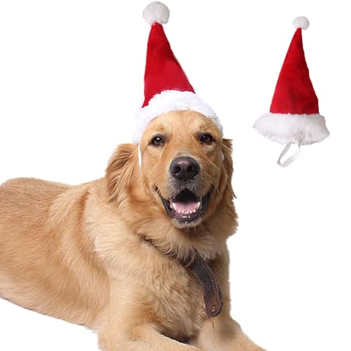 Pets on Safari Pet Santa Hat for Dogs, Adjustable Christmas Hats for Cats, Puppy Christmas Costume Decoration Accessories, Pet Xmas Red Hat for Kitten Rabbit Red (Large) von Pets on Safari